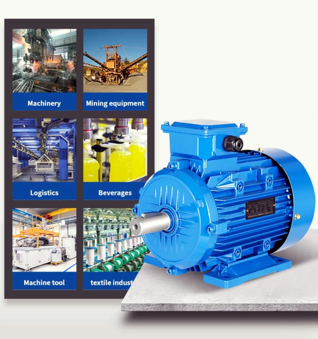 CE Approved Ie2 Efficiency 0.75kw 1500rpm Ms Series AC Electric Motor